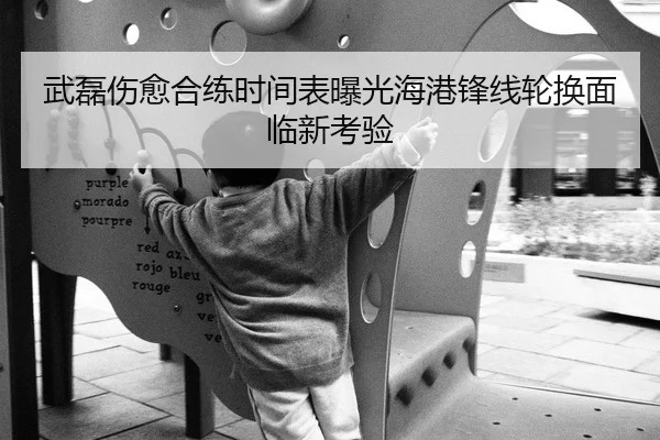 武磊伤愈合练时间表曝光海港锋线轮换面临新考验